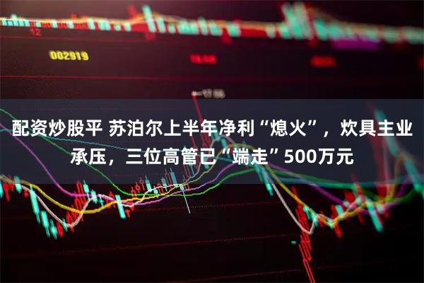 配资炒股平 苏泊尔上半年净利“熄火”，炊具主业承压，三位高管已“端走”500万元